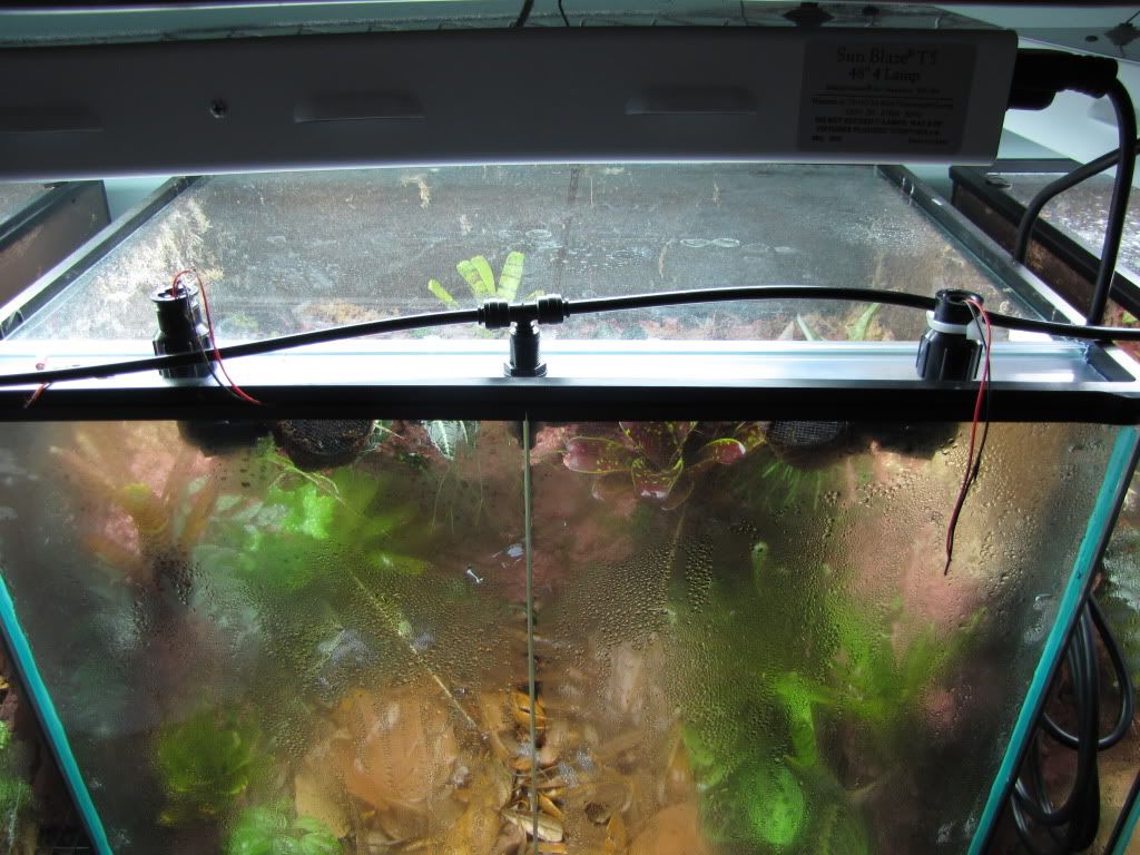 Exo Terra Lid modding Dendroboard